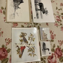 Down East Drawings Wildlife Art Gallery & Gifts - We stopped by and got some beautiful artwork done by local wildlife artist Fred Hartman. Here we have some of his prints and note cards.