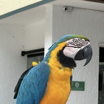 La Veranda - Buffets Near Me - Cancún, ROO La Veranda - Buffets Near Me - Cancún, ROO