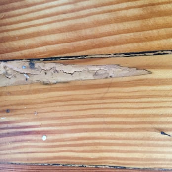 Van Camp's Quality Hardwood Floors - Fill work by Van Camp's Quality Hardwood Floors - Flooring Near Me - Denver, Colorado Van Camp's Quality Hardwood Floors - Fill work by Van Camp's Quality Hardwood Floors - Flooring Near Me - Denver, Colorado