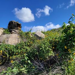 Sycamore Canyon Wilderness Park