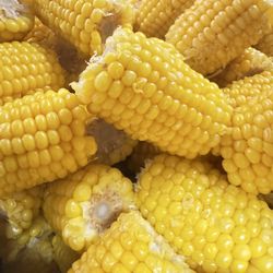 Cajun Crack'n - Corn