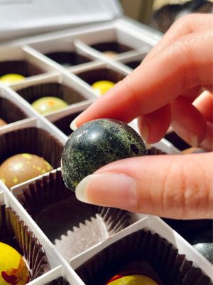 Dallmann Confections | Delicious Chocolate by null