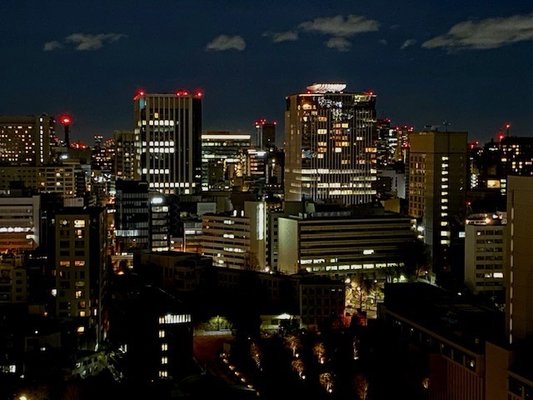 The Capitol Hotel Tokyu by null