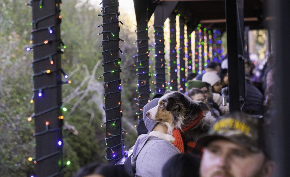 Yosemite Mountain Sugar Pine Railroad
