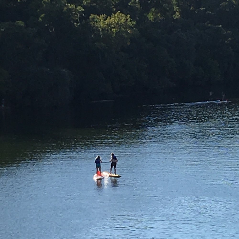 SUP DOG - Paddleboarding Near Me SUP DOG - Paddleboarding Near Me