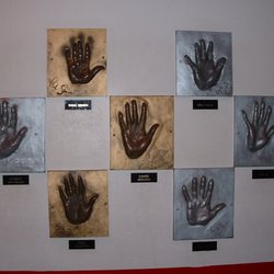 Institute For Hand and Upper Extremity Rehab