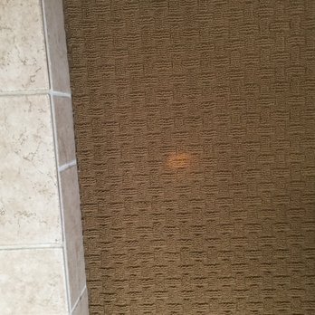 Color Spot Carpet - Carpet Dyeing Near Me