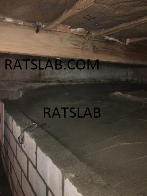Slide of RatSlab Crawl Space Encapsulation & Waterproofing Services
