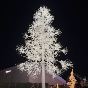 Enchant - Festivals Near Me - Arcadia, California