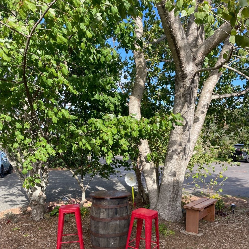 EDELWEISS INN 2433 Mount Hanley Road, Mount Hanley, Nova Scotia