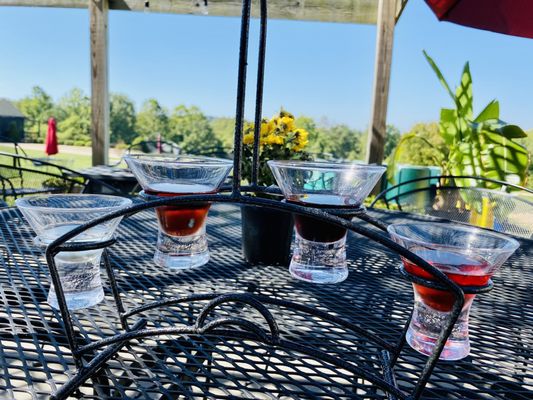 Alto Vineyards by null