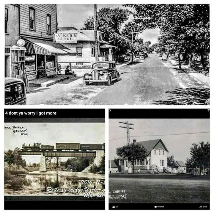 VARTY LAKE CAMP GROUNDS Updated August 2024 89 Varty Lake Road, Yarker, Ontario, Canada