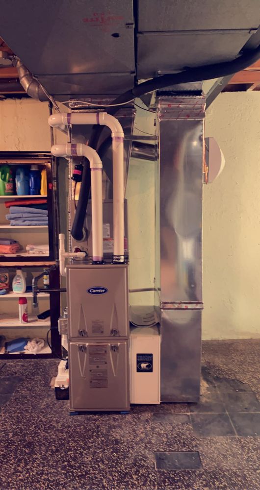 Slide of Whitney Services