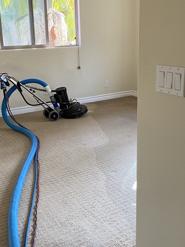 TNT CARPET CARE Updated September 2024 65 Photos & 29 Reviews 103