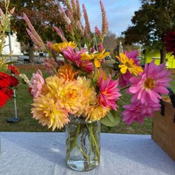 Scituate Rotary Farmers Market