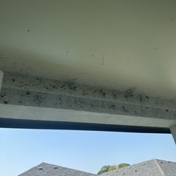 Mansions at Oak Point - Infestation
