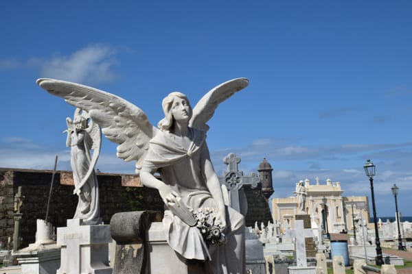 Cementerio Santa María Magdalena de Pazzis by null