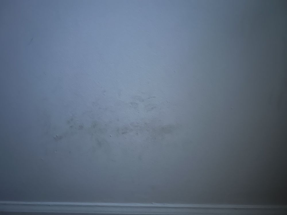 COLONIAL GARDEN APARTMENTS Updated August 2024 10 Photos 5502 S