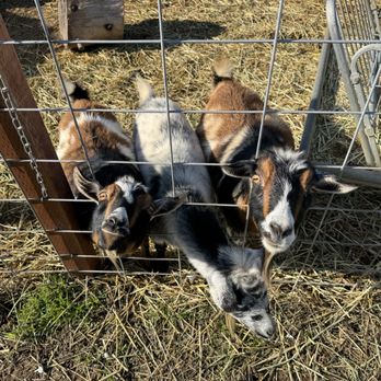 Back-to-Eden Ranch - Attraction Farms Near Me - Gilroy, California
