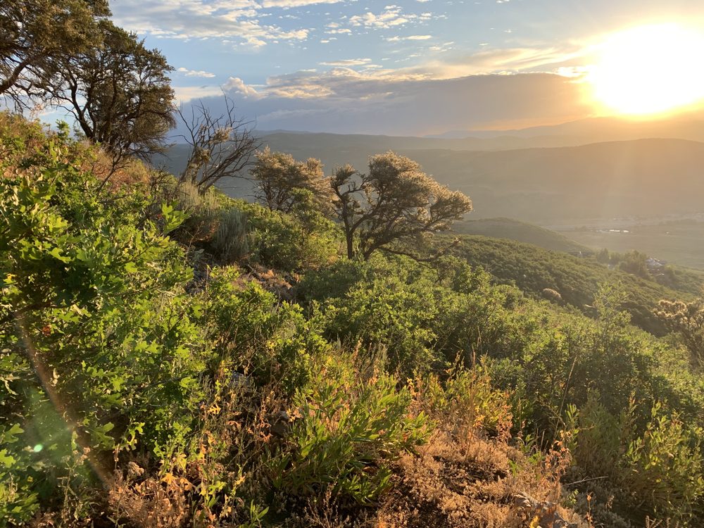 KELLER WILLIAMS PARK CITY Updated July 2024 1750 Sun Peak Dr, Park