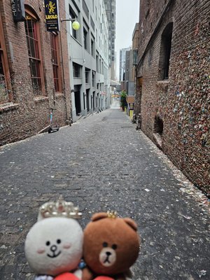 The Gum Wall at Unexpected Productions Improv by null