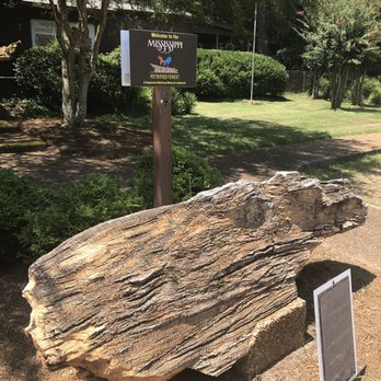 Mississippi Petrified Forest - Museums Near Me - Flora, Mississippi