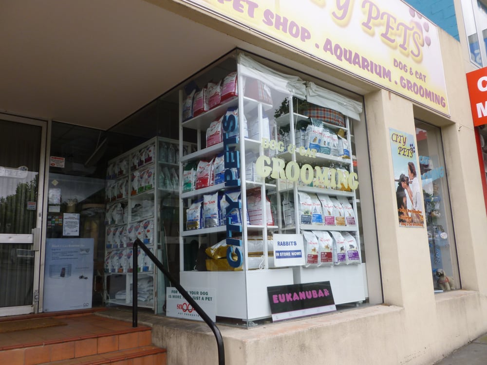 CITY PETS Updated September 2024 614 Burke Rd, Camberwell Victoria