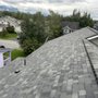 Alaska Shingle Solution