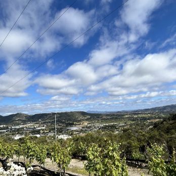 Sunshine Mountain Vineyard - Views - Wineries Near Me - San Marcos, California Sunshine Mountain Vineyard - Views - Wineries Near Me - San Marcos, California