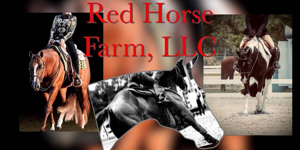 RED HORSE FARM Updated October 2024 160 Brinkley Rd, Delco, North