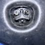 Photo of Tesla