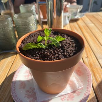 flora - Flower Pot - New American Near Me - Westhampton Beach, New York
