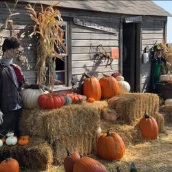Pumpkin Pickin' Paradise
