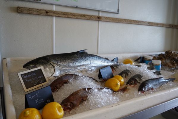 Half Moon Bay Fish Market by null