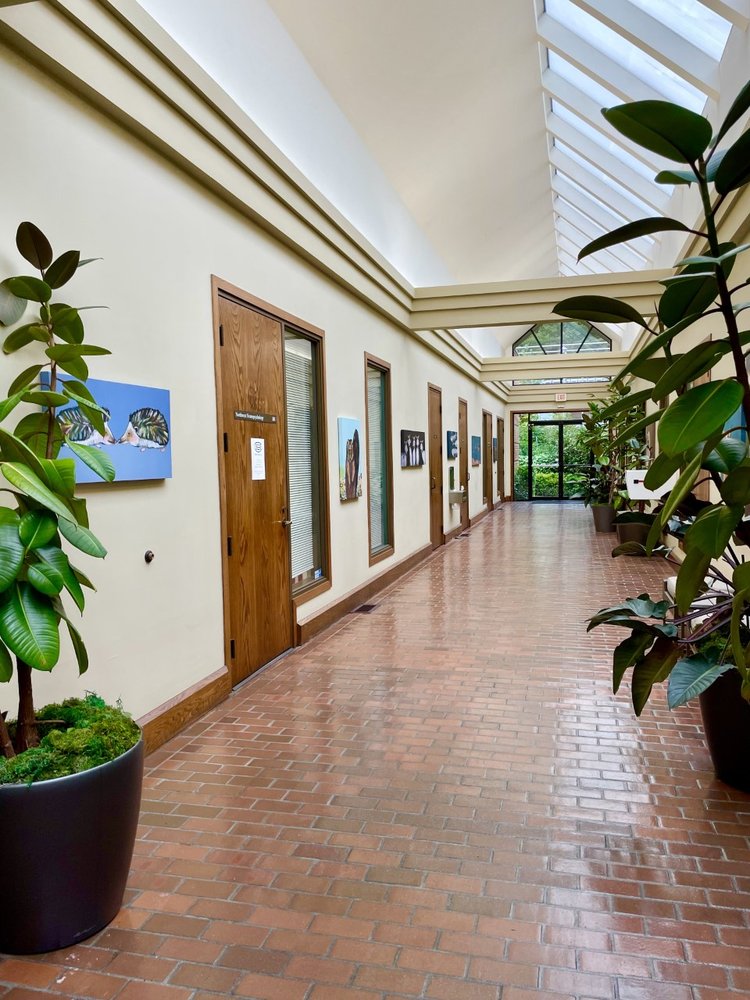 NW Neuropsychology Learning Behavior Services PS - grief counselor in Bellevue, WA