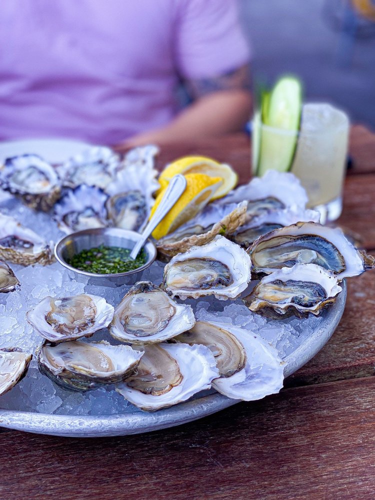 Hog Island Oyster