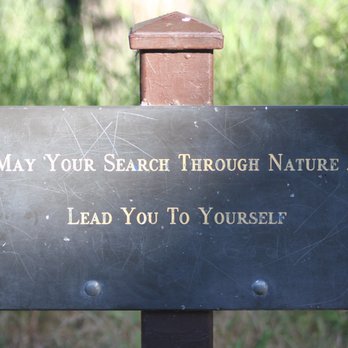 Hermit Falls - Hiking Near Me - Arcadia, California
