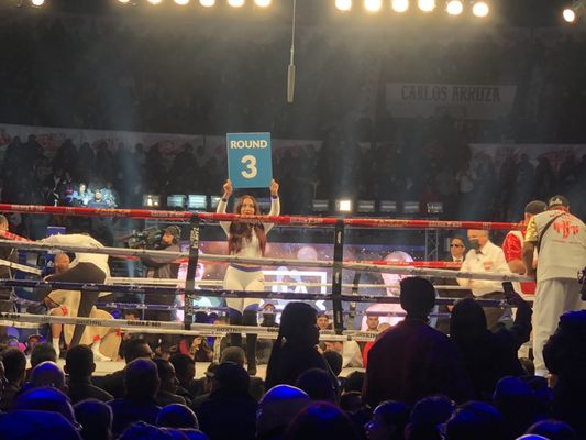 Monumental Plaza de Toros by null