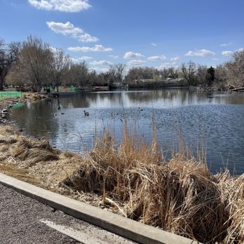City Park - Lake with ducks - Parks Near Me - Denver, Colorado