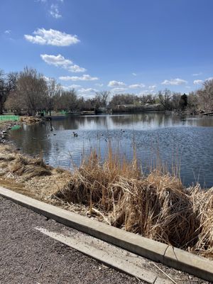 City Park West by null