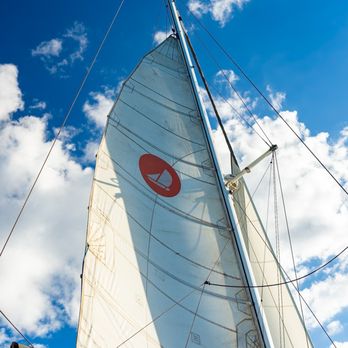 Sail Maui- Maalaea - Boat Charters Near Me - Maalaea, Hawaii