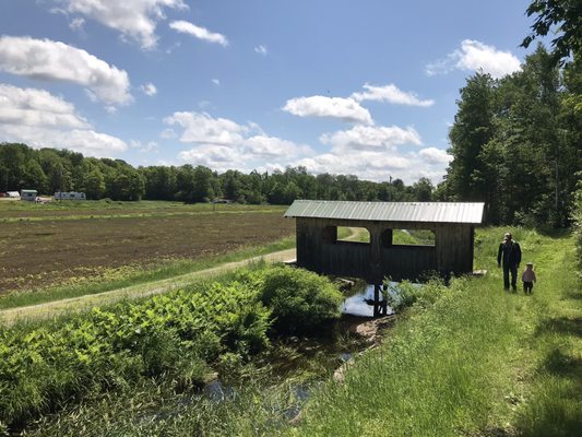 Muskoka Lakes Farm & Winery by null