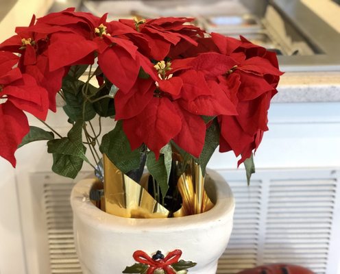 Mag's Local Yogurt by null