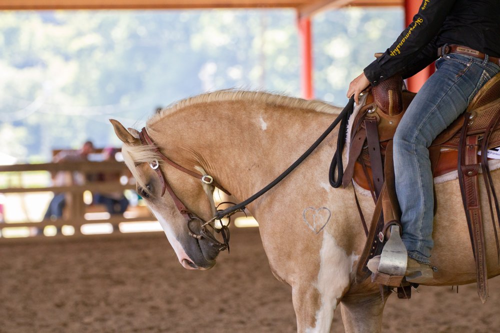 Munday Morning Acres - equestrian in Terry, MS