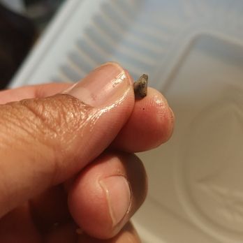 Rickshaw Chinese Restaurant - A small rock in my combo plate. - Chinese Near Me - Pinole, California