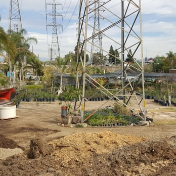 Horizon Nursery - Nurseries & Gardening Near Me - Santa Fe Springs, California