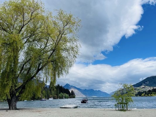 Queenstown Gardens by null