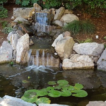 Just Pondering - Frog pond and waterfalls. - Landscaping Near Me - Wake Forest, North Carolina Just Pondering - Frog pond and waterfalls. - Landscaping Near Me - Wake Forest, North Carolina