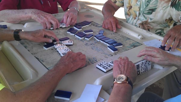 Domino Park by null
