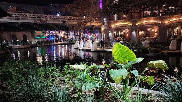 Brenner's on the River Walk by null